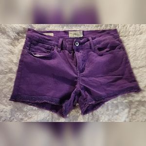 Lucky Brand Malibu Short Purple Size 8/29 Lace Fringe